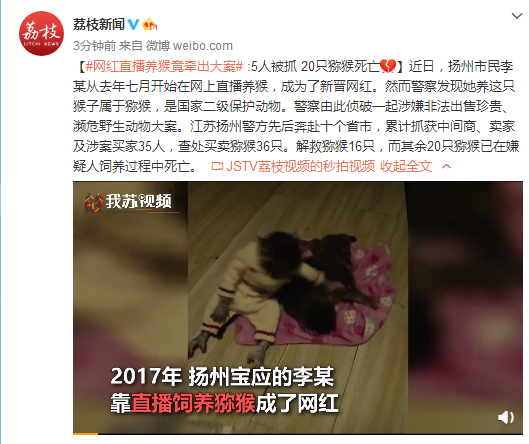 网红直播养猴竟牵出大案 :5人被抓 20只猕猴死亡